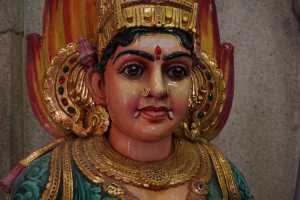 LITTLE INDIA (154)